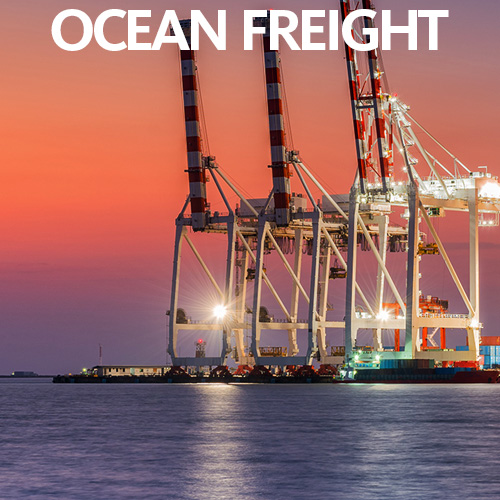 American Shipping Lines